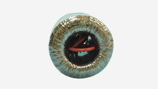 環(huán)形變壓器的發(fā)展趨勢